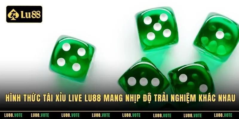 Hình thức tài xỉu live LU88 mang nhịp độ trải nghiệm khác nhau