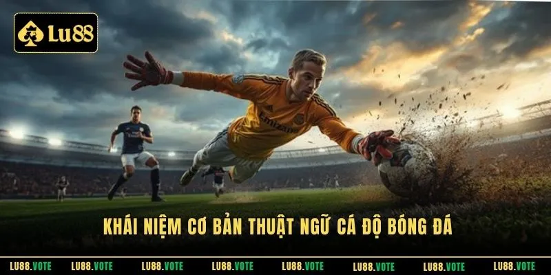 Khái niệm cơ bản thuật ngữ cá độ bóng đá