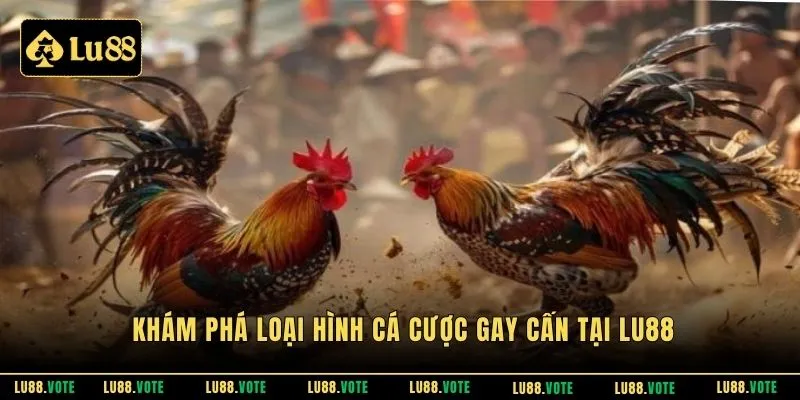 Khám phá loại hình cá cược gay cấn tại Lu88