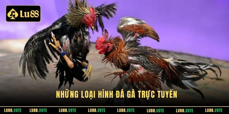 Những loại hình đá gà trực tuyến